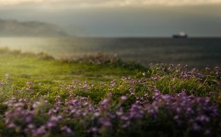 В закатном солнце