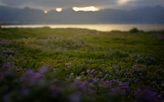 Весенние зарисовки