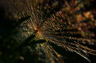 ver 2 , climatic  , Я ценю любое мнение