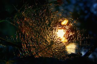 ver 3 , dying sun , Я ценю любое мнение