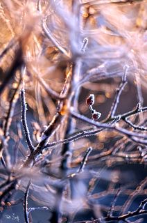 1/320
F 2,9
ISO 100