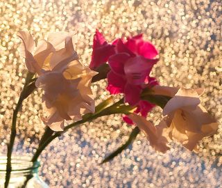 Прошел дождь, оставив капли на стекле; вышедшее на минуту из-за тучи солнце осветило эти брызги. Сотни крошечных лучиков, преломляясь в каплях, падали на последние в этом году гладиолусы.