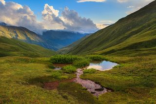 Нарзановое болотце под перевалом Каретта