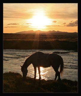 Река Бетсу-Канас, закат на плато Укок. Август 2009 г.