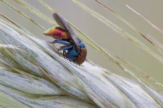 Погружение в сон.