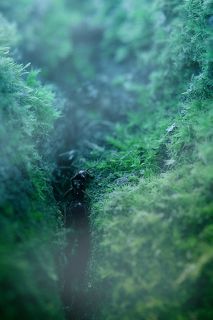 муравьиный триллер