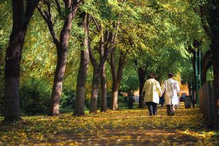 Let\'s go home and see our grandkids