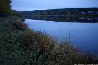 Утро в Двуреченске III