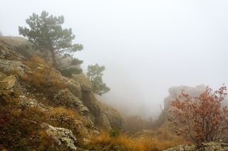 Закончили мы подъем во второй части и вышли на Солнечную поляну. Всё в \