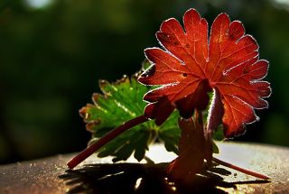 Two, большое спасибо