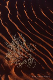 “Passion” Monument Valley, Utah-Arizona border, USA