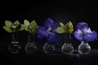 Мы выбираем, нас выбирают