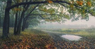 Дождливая осень