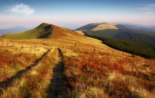 горная дорога в Карпатах