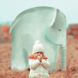 Это был слон?