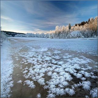 Удивительные деньки с Димой Лялиным у меня на реке в деревне - чудный урожай \