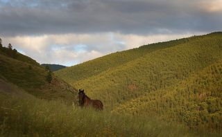 Единение с природой