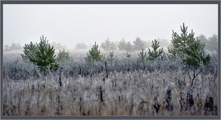 01 В связи с традиционным отъездом в Шерегеш, не успел попрощаться с осенью… Исправляюсь: осенний этюд!
