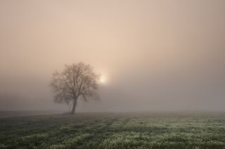 Мир сотканный туманом