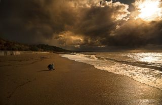 За любимым занятием