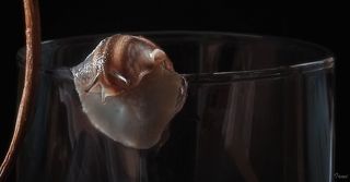 Преодоление