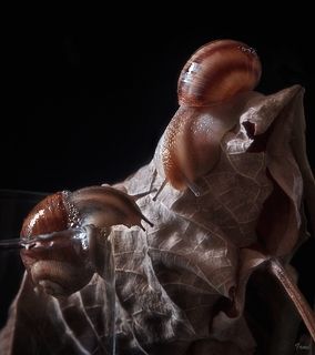 вот мы и встретились