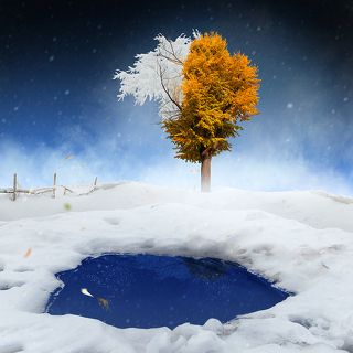 A late winter