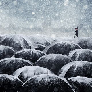 A busy winter time
