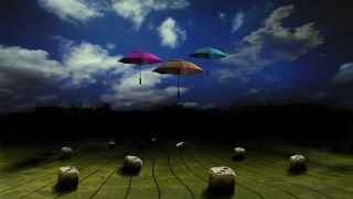 Paranoiac Degenartion