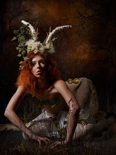 Resplendent Quetzal Happy New Year