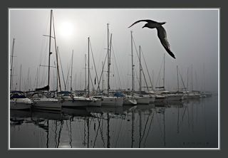 Утро туманное...