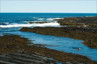 Баренцево море. Дальше - только Северный Ледовитый океан. Температура воды - 11 градусов.