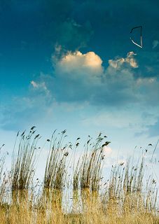 Неправильное небо