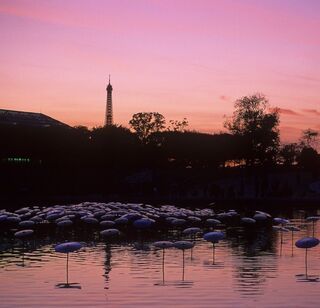 Вторжение тарелок в Париж.
