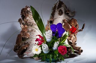 флористика, энергосберегающие лампы