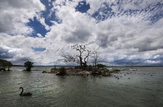 недалеко от Роторуа...