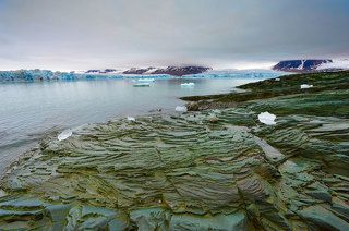 Ледник Монтана