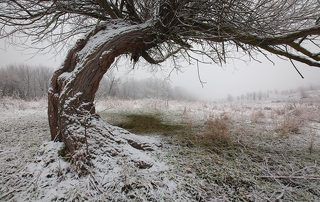 жизнь не легкая
