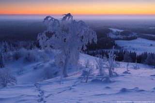 Ледяной рассвет