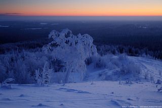 Перед рассветом