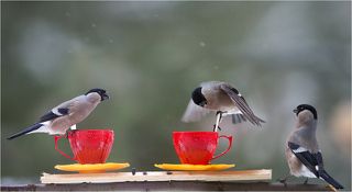 Ой!! А что это вы насыпали в бокальчик?!