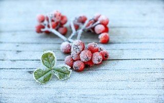 Природный десерт