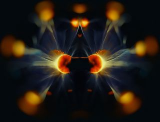 crazy-Какая версия лучше?