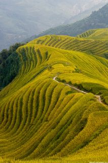 Террасы занимают площадь в 66 кв.км. и находятся на высоте от 300 до 1100 м над уровнем моря.