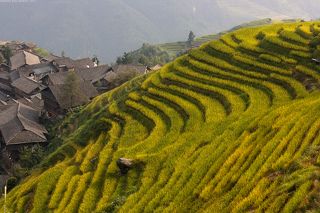 Строительство террас началось еще в 13 веке.