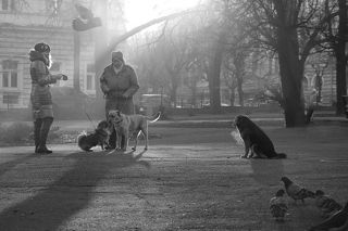 третий лишний?..