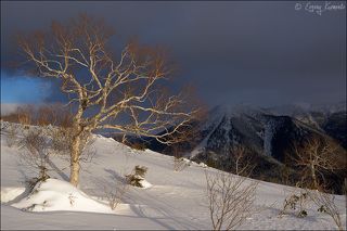 Язычница в тени