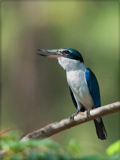 3.