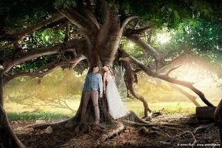 Под деревом