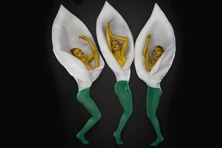 1) Жизнь и свобода.